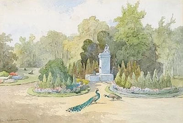 Vista sul parco con pavoni
